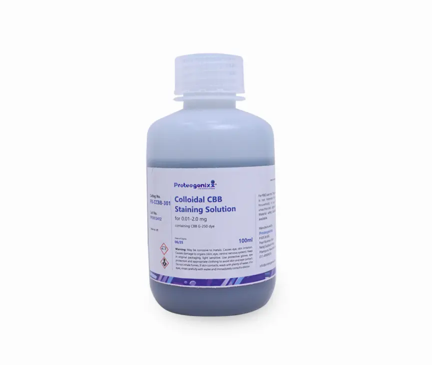CBB Colloidal Staining Solution