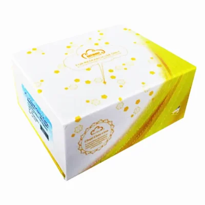 Polyclonal Antibody to Biglycan (BGN)