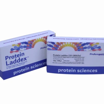 Protein Laddexᵀᴹ 10-180 kDa