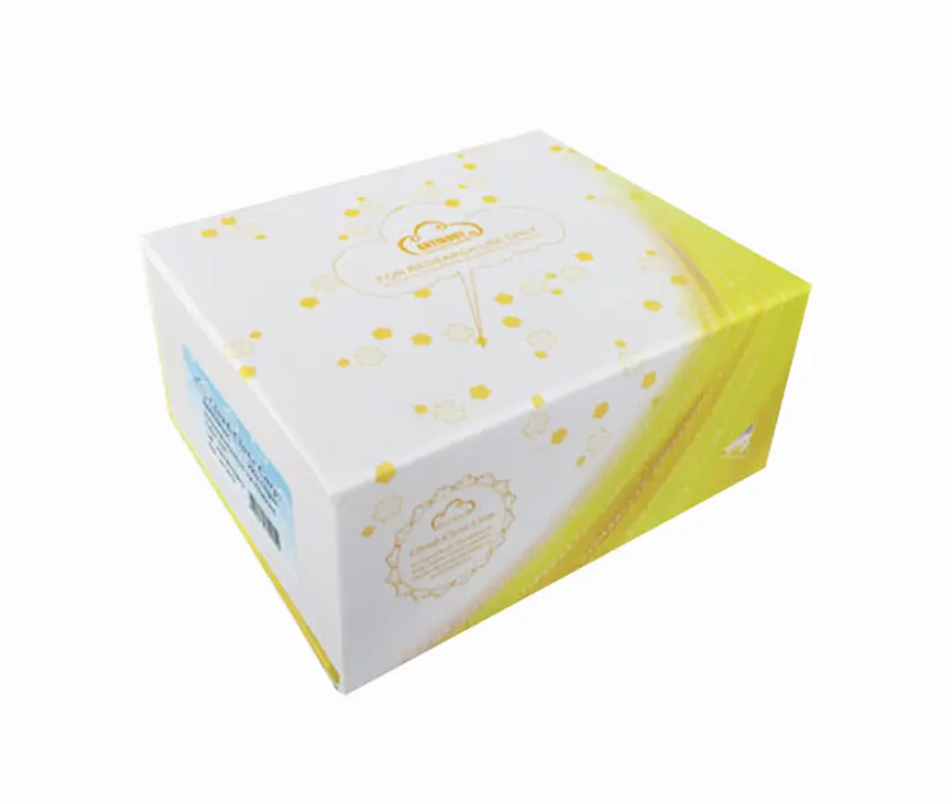 Polyclonal Antibody to Interferon Regulatory Factor 4 (IRF4)