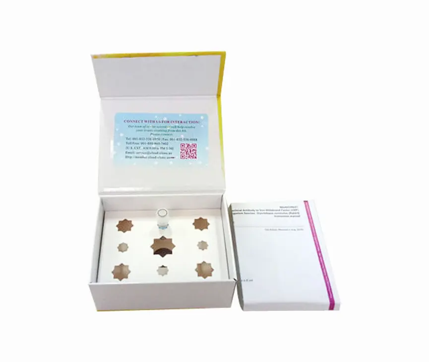 Polyclonal Antibody to Transformer 2 Beta (TRA2b)