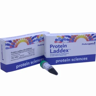 Protein Laddexᵀᴹ 10-250 kDa